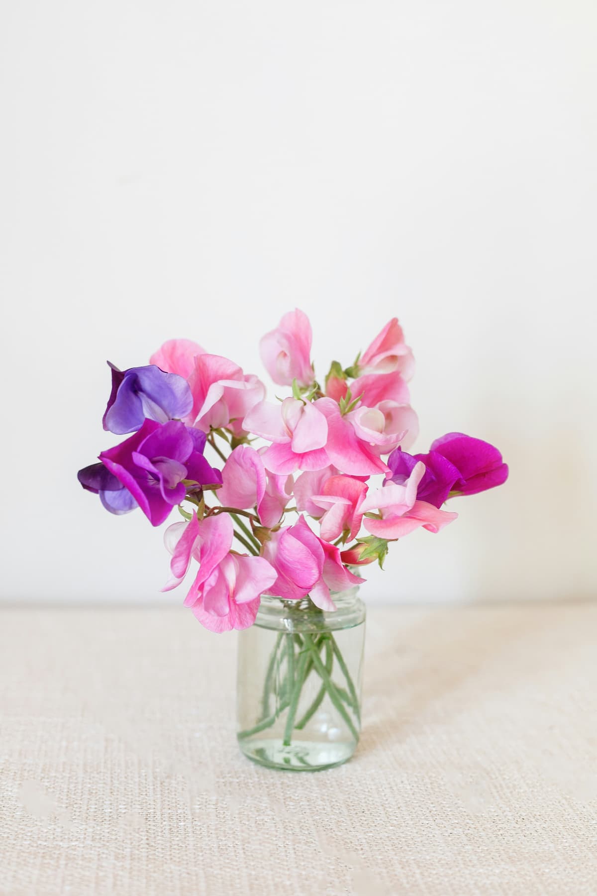 Sweet Peas